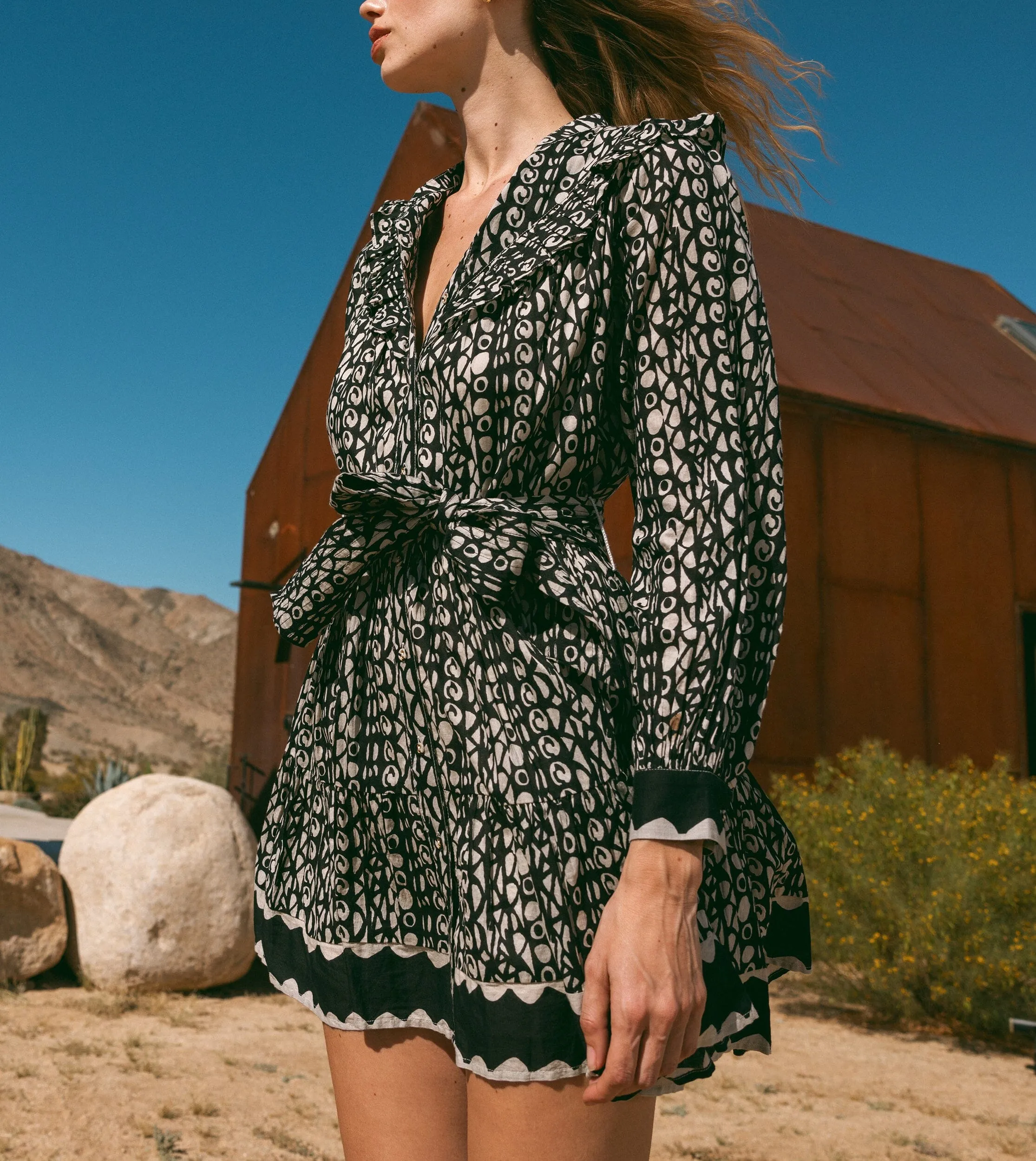 Antonia Mini Dress | Paseo