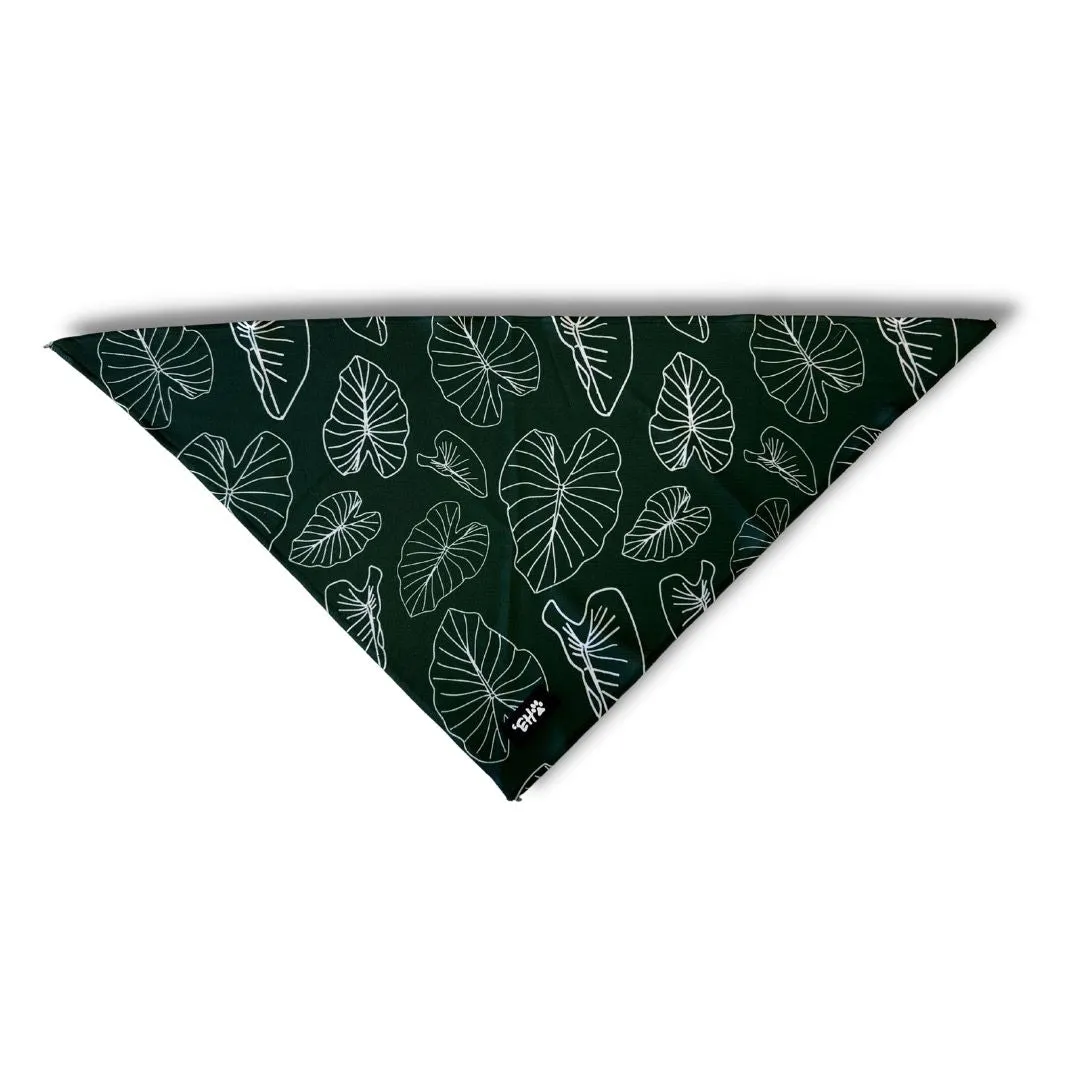 Eha Pets: Signature Kalo Bandana