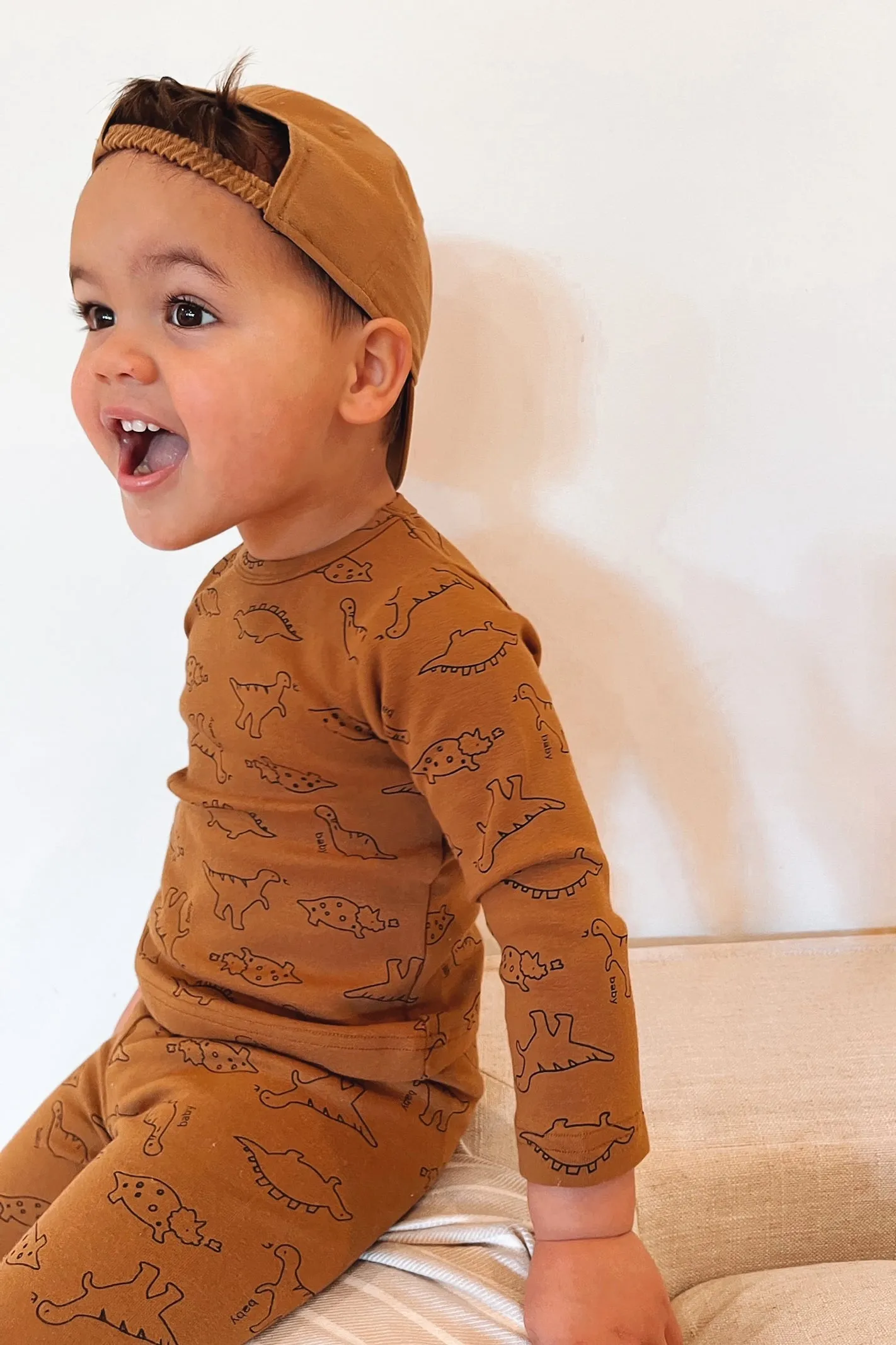 TAKE IT EASY DINOSAUR SET / BROWN